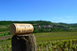 Domaine de Villaine