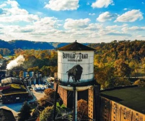 Buffalo Trace