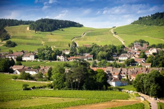 Le berceau de Cave du Val d'Or à Mercurey